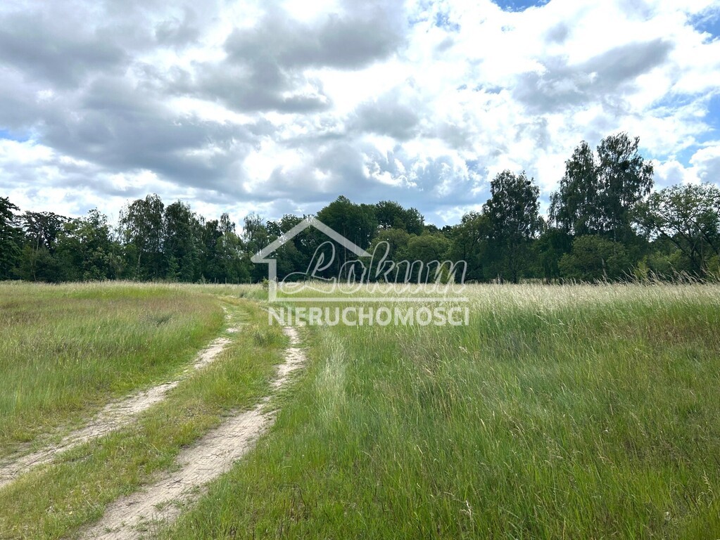Działka budowlana 1114&nbsp;m², Nowe Warpno - zdjęcie 5
