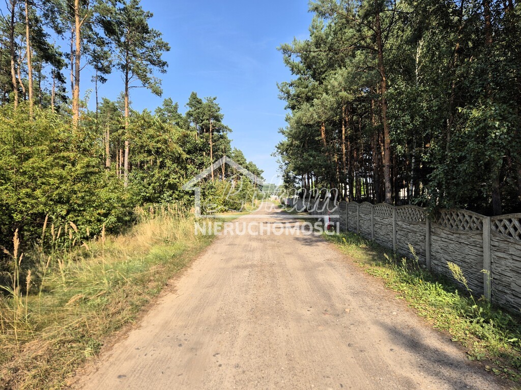 Działka budowlana 3440 m², Nowe Czarnowo - zdjęcie 12
