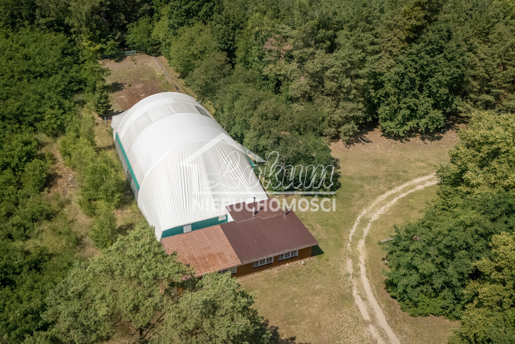 Lokal usługowy na sprzedaż, 910&nbsp;m², Zielątkowo - zdjęcie 9