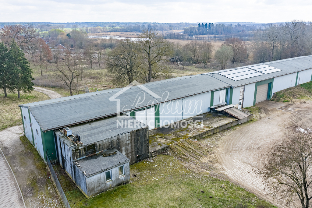 Magazyn na sprzedaż, 2497&nbsp;m², Piaseczno - zdjęcie 13