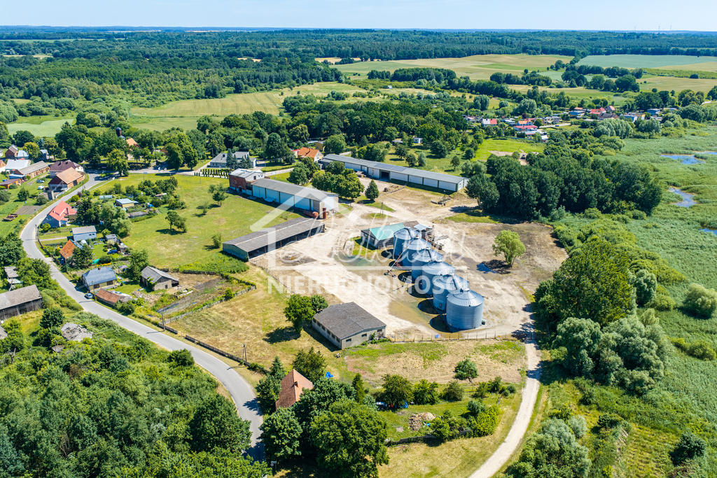 Magazyn na sprzedaż, 2497&nbsp;m², Piaseczno - zdjęcie 8