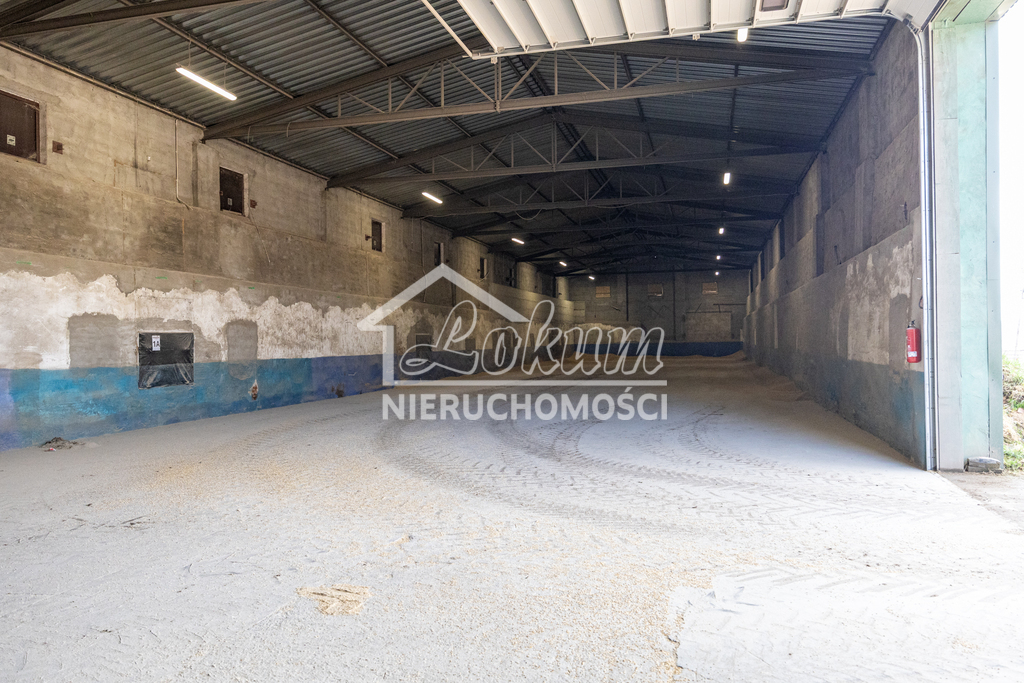Magazyn na sprzedaż, 2497&nbsp;m², Piaseczno - zdjęcie 17