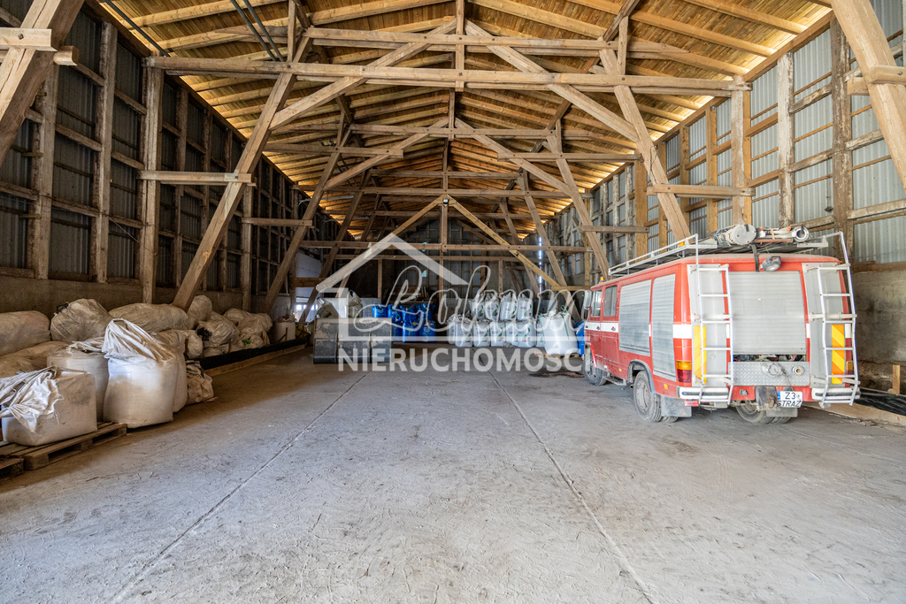 Magazyn na sprzedaż, 2497&nbsp;m², Piaseczno - zdjęcie 15