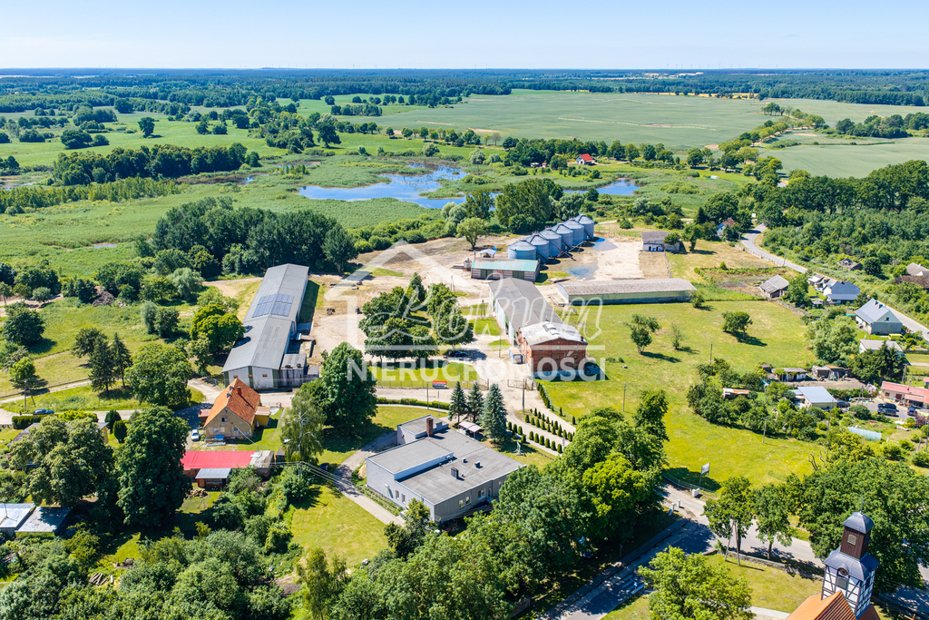 Magazyn na sprzedaż, 2497&nbsp;m², Piaseczno - zdjęcie 2