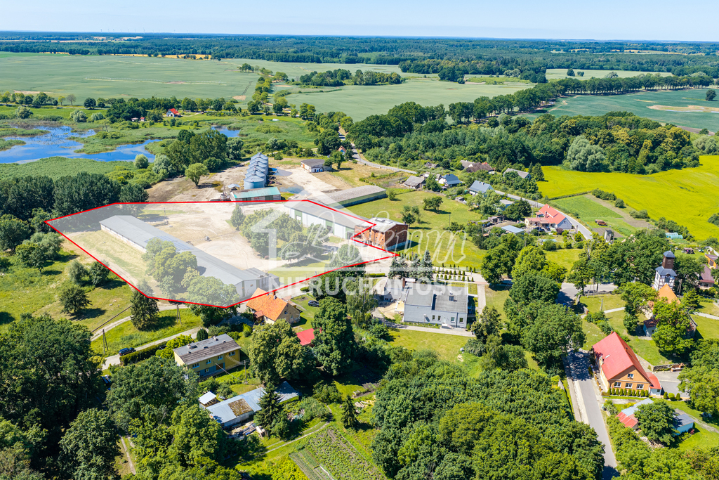 Magazyn na sprzedaż, 2497&nbsp;m², Piaseczno - zdjęcie 4