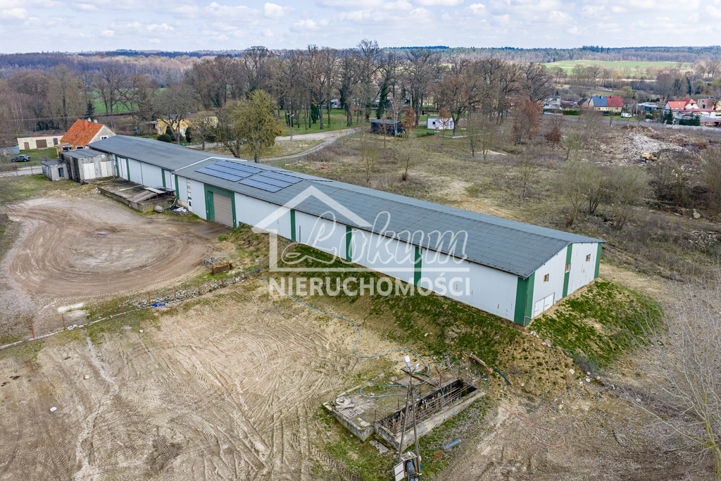 Magazyn na sprzedaż, 2497&nbsp;m², Piaseczno - zdjęcie 10