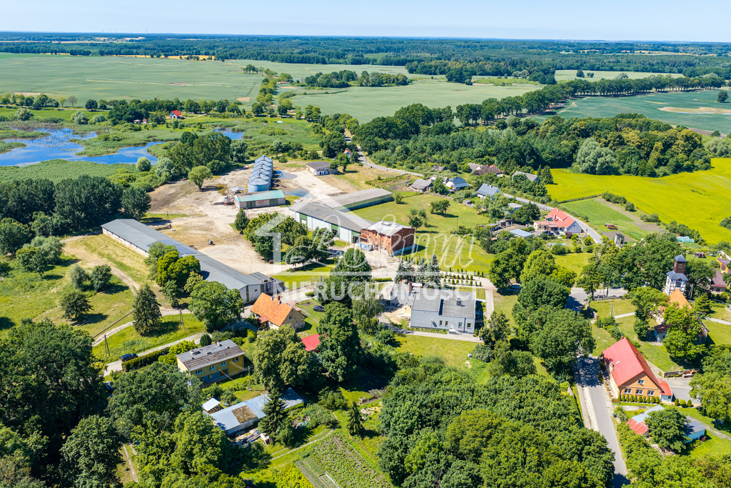Magazyn na sprzedaż, 2497&nbsp;m², Piaseczno - zdjęcie 5