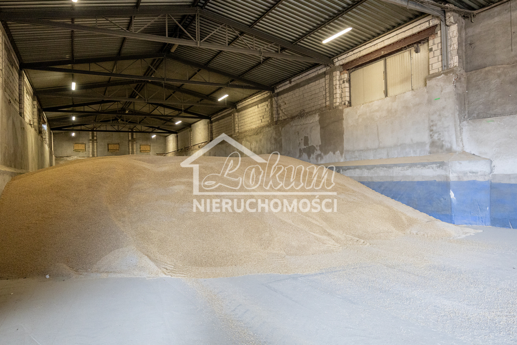 Magazyn na sprzedaż, 2497&nbsp;m², Piaseczno - zdjęcie 16