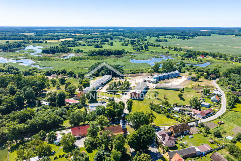 Magazyn na sprzedaż, 2497&nbsp;m², Piaseczno - zdjęcie 6