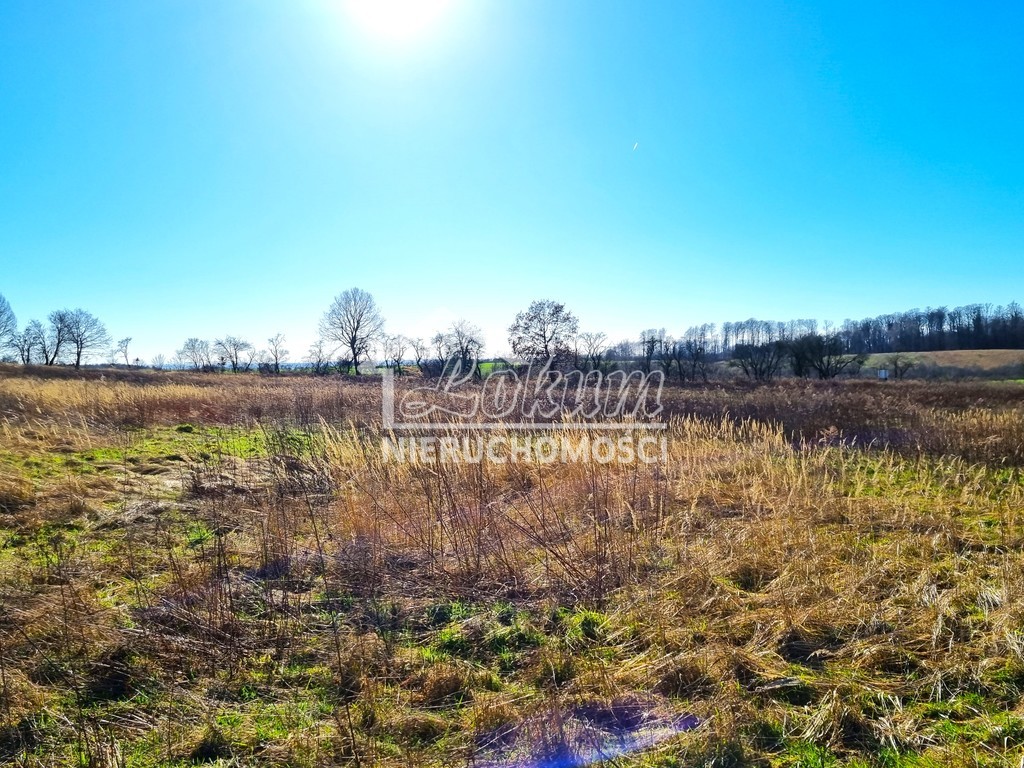 Działka rolna 3008 m², Kołowo - zdjęcie 3