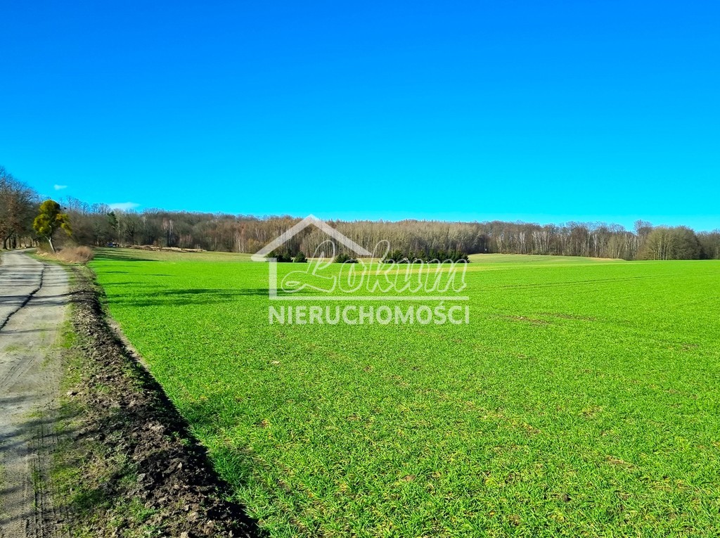 Działka rolna 3008 m², Kołowo - zdjęcie 1