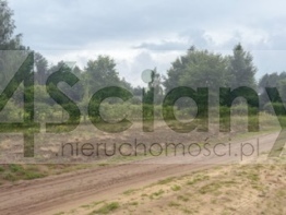 Działka budowlana 1824 m², Michałów - zdjęcie 1