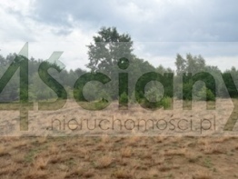 Działka budowlana 1824 m², Michałów - zdjęcie 3