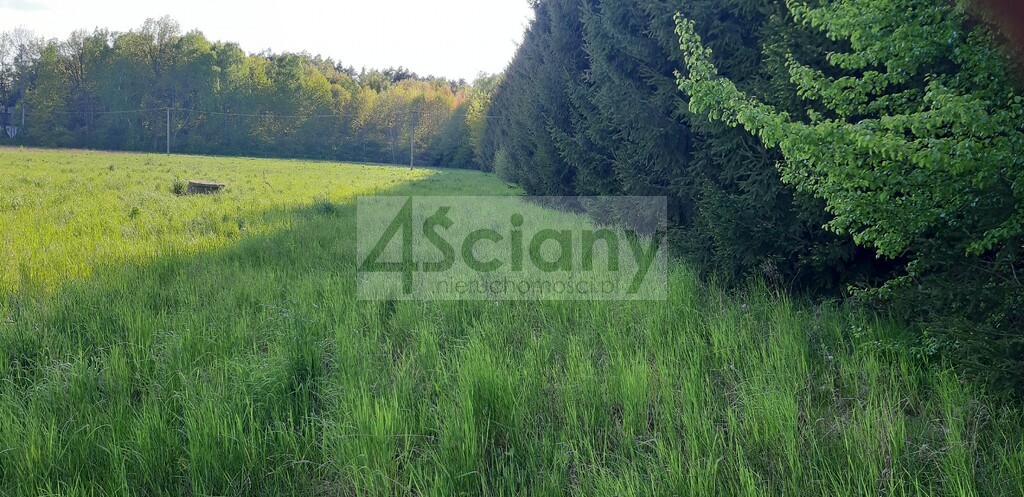 Działka budowlana 2190 m², Rusiec - zdjęcie 1