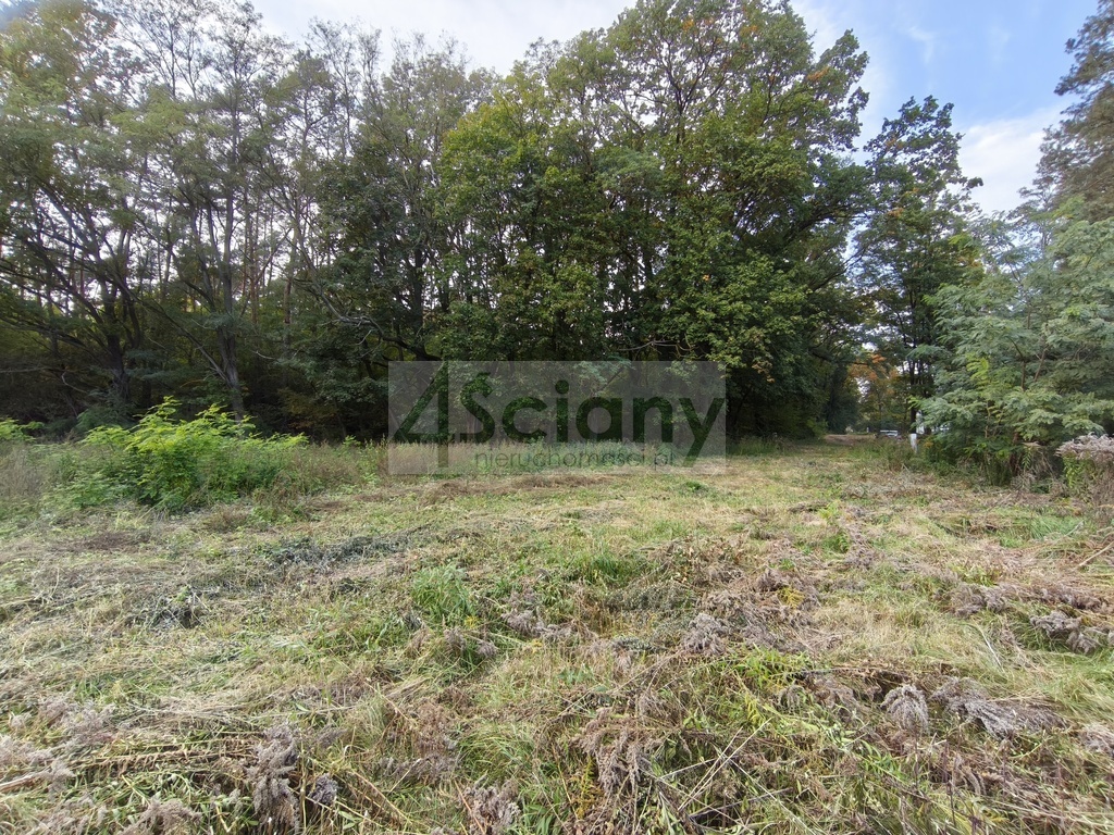 Działka budowlana 1500 m², Szczęsne - zdjęcie 4