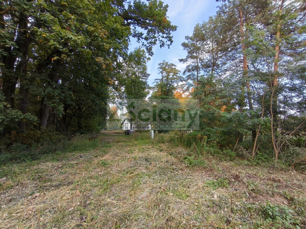Działka budowlana 1500 m², Szczęsne - zdjęcie 5