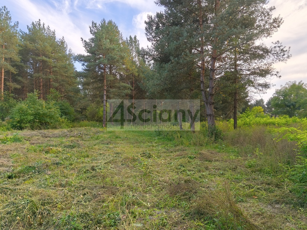 Działka budowlana 1500 m², Szczęsne - zdjęcie 2