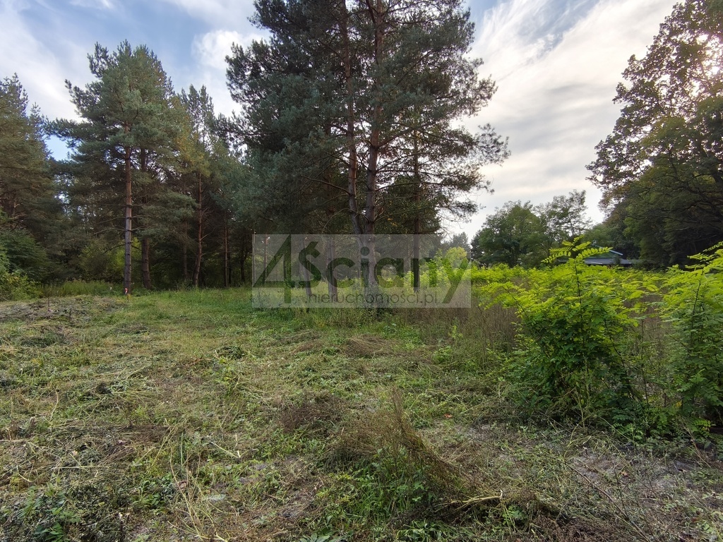 Działka budowlana 1500 m², Szczęsne - zdjęcie 1