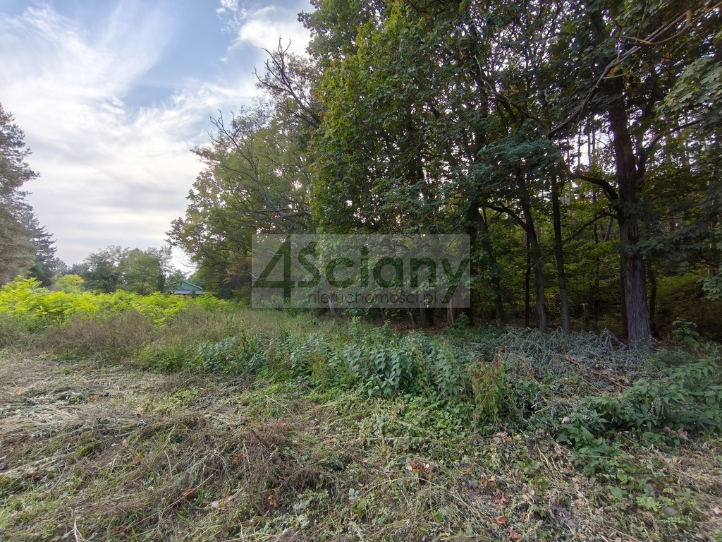 Działka budowlana 1500 m², Szczęsne - zdjęcie 6