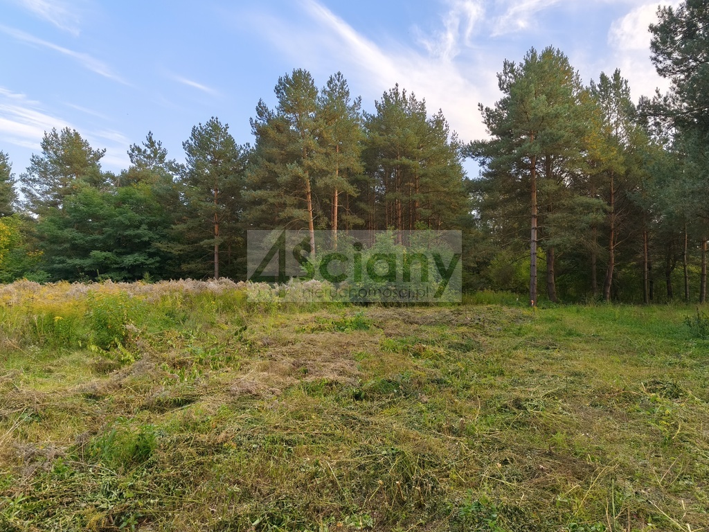 Działka budowlana 1500 m², Szczęsne - zdjęcie 3