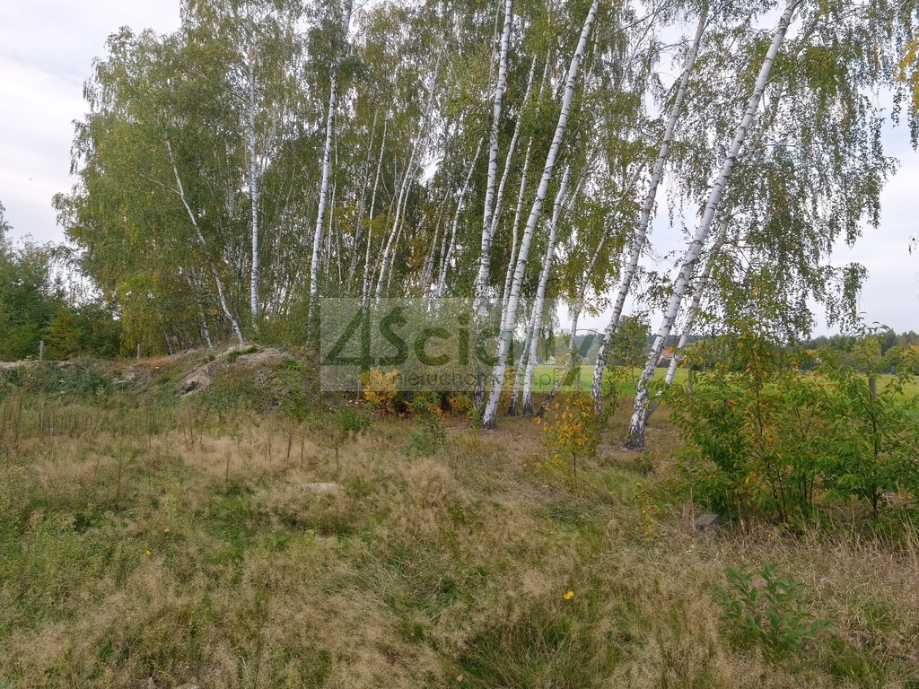Dom 115,7&nbsp;m², Kozerki - zdjęcie 8