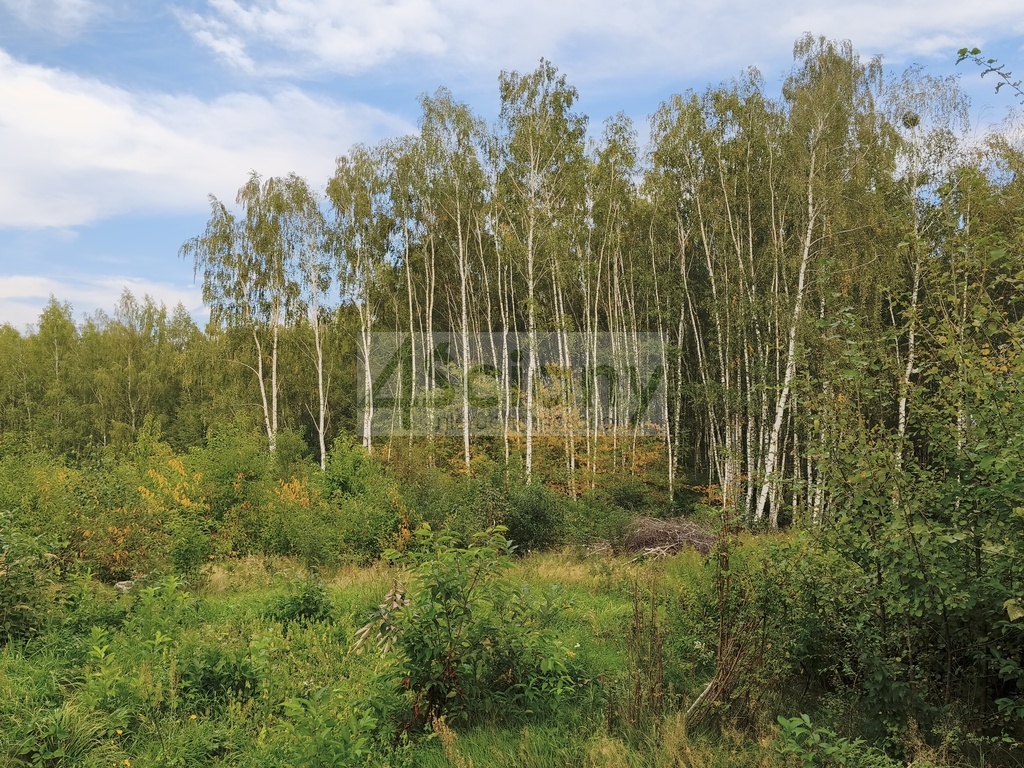 Dom 115,7&nbsp;m², Kozerki - zdjęcie 5