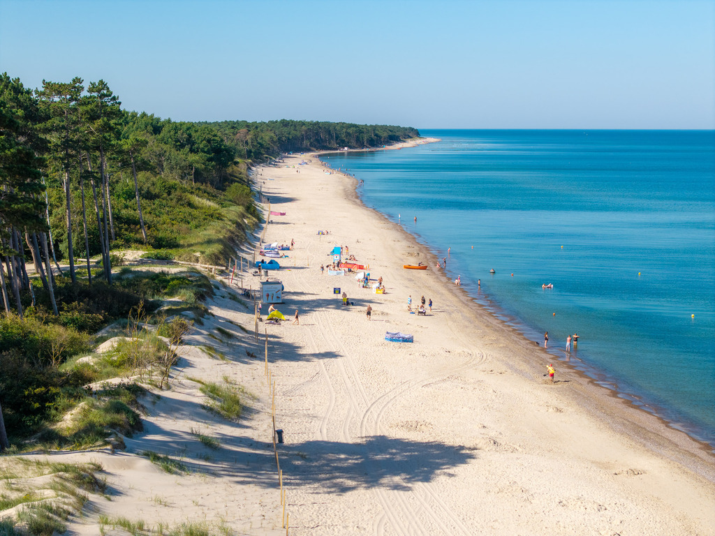 Działka budowlana 2,60 ha, Rusinowo - zdjęcie 5