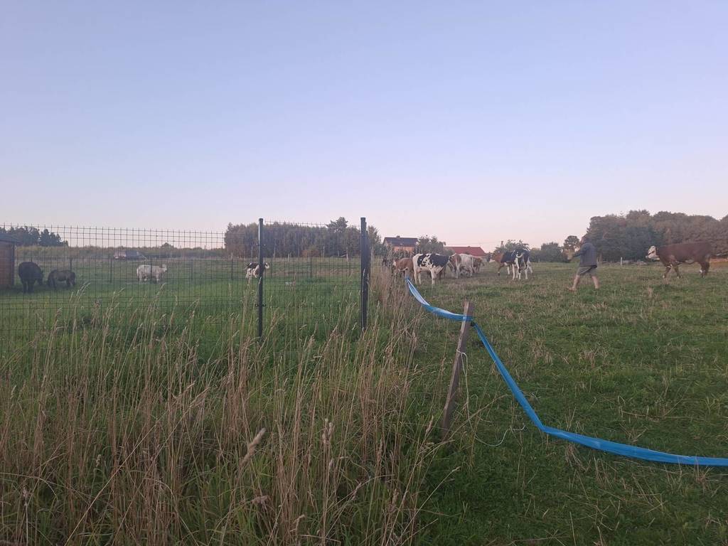 Działka budowlana 1000&nbsp;m², Łebno, Zielona Dolina - zdjęcie 4
