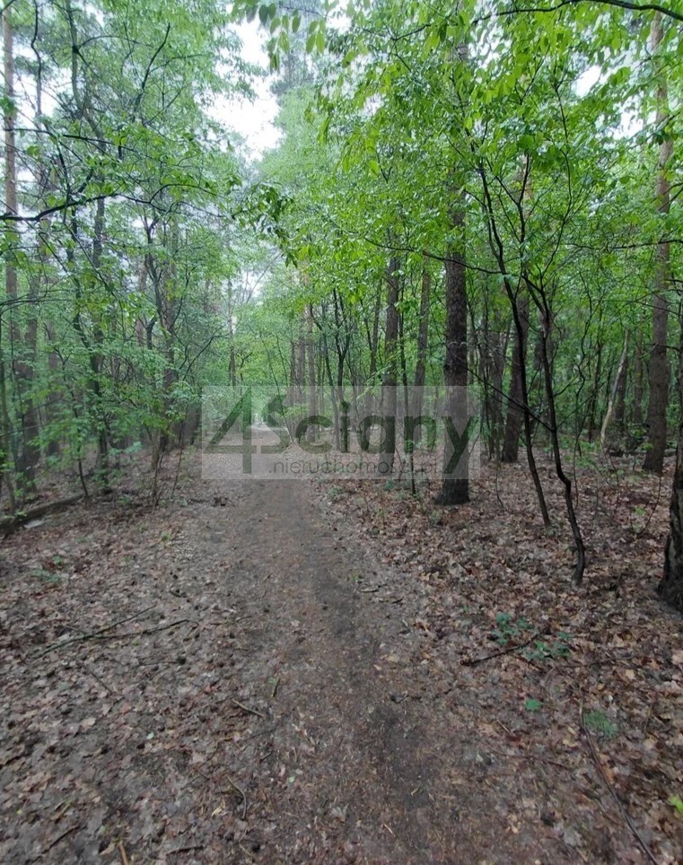 Działka budowlana 1099 m², Stara Wieś - zdjęcie 10