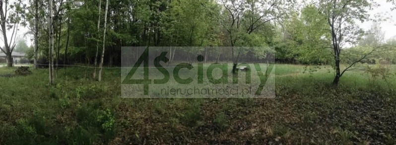 Działka budowlana 1099 m², Stara Wieś - zdjęcie 3