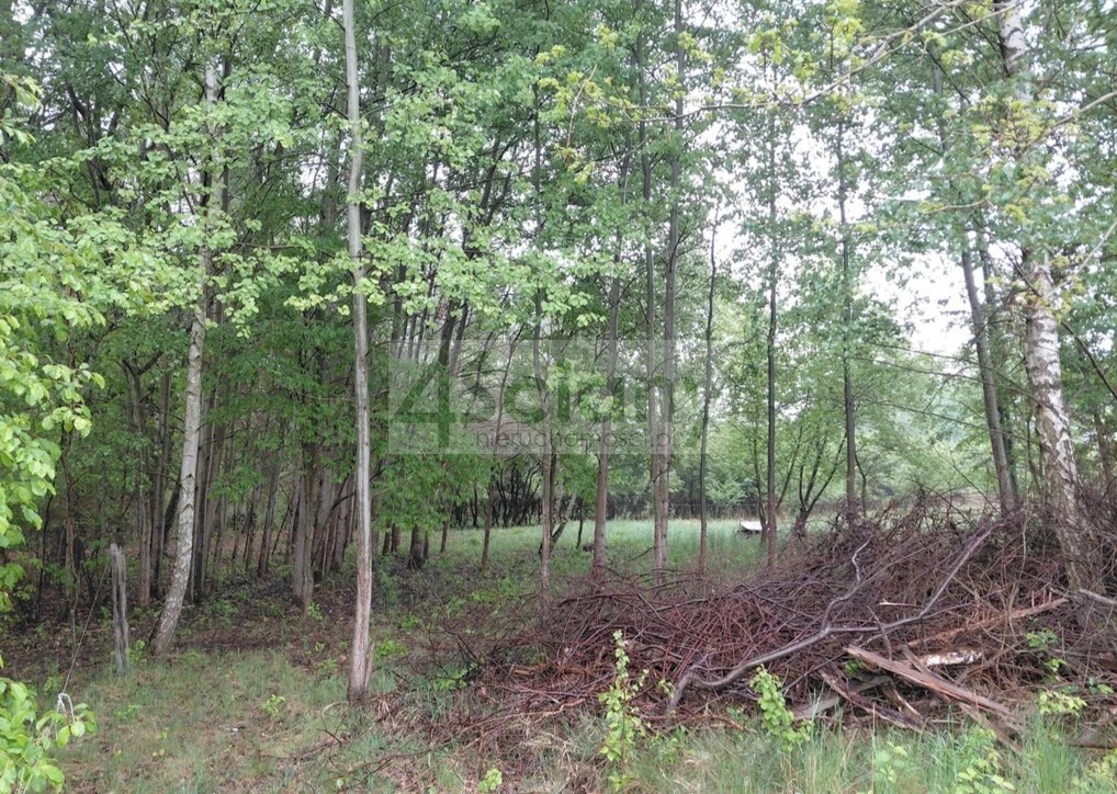 Działka budowlana 1099 m², Stara Wieś - zdjęcie 9
