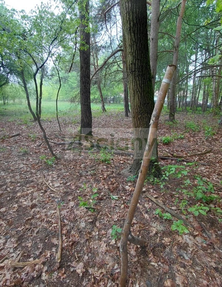 Działka budowlana 1099 m², Stara Wieś - zdjęcie 8