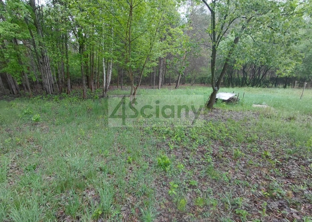 Działka budowlana 1099 m², Stara Wieś - zdjęcie 4