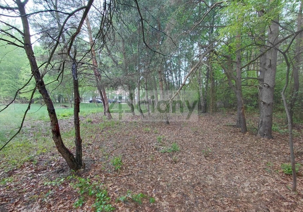 Działka budowlana 1099 m², Stara Wieś - zdjęcie 7