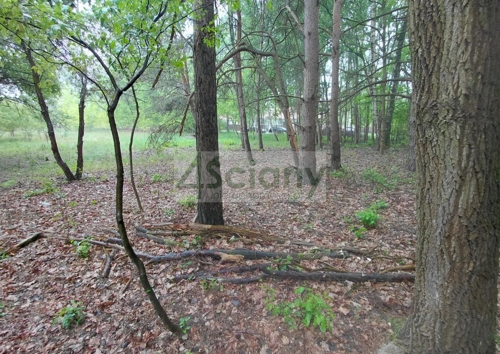 Działka budowlana 1099 m², Stara Wieś - zdjęcie 6