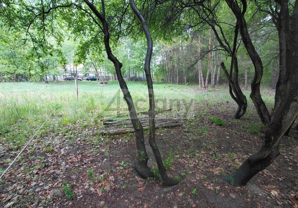 Działka budowlana 1099 m², Stara Wieś - zdjęcie 5