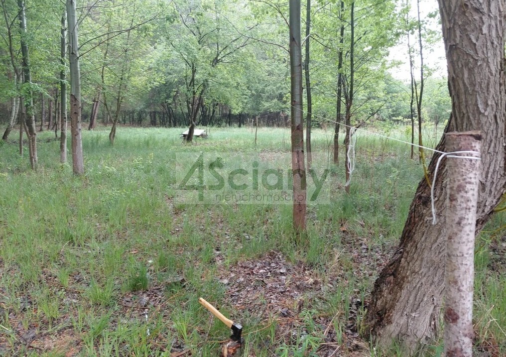 Działka budowlana 1099 m², Stara Wieś - zdjęcie 2