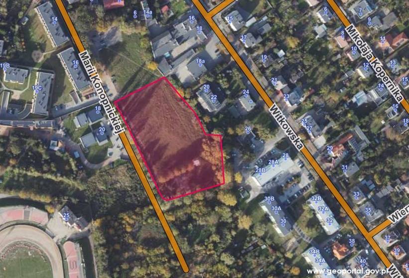 Działka budowlana 8731&nbsp;m², Gniezno, Witkowska - zdjęcie 1