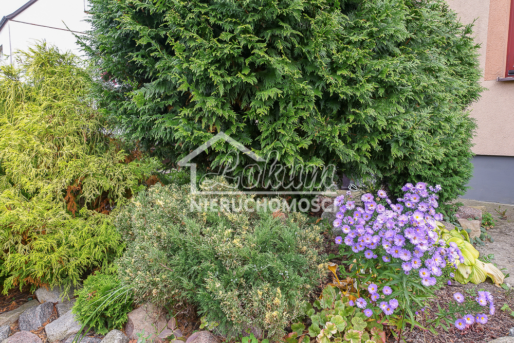 Mieszkanie 86,6&nbsp;m², Szczecin - zdjęcie 18