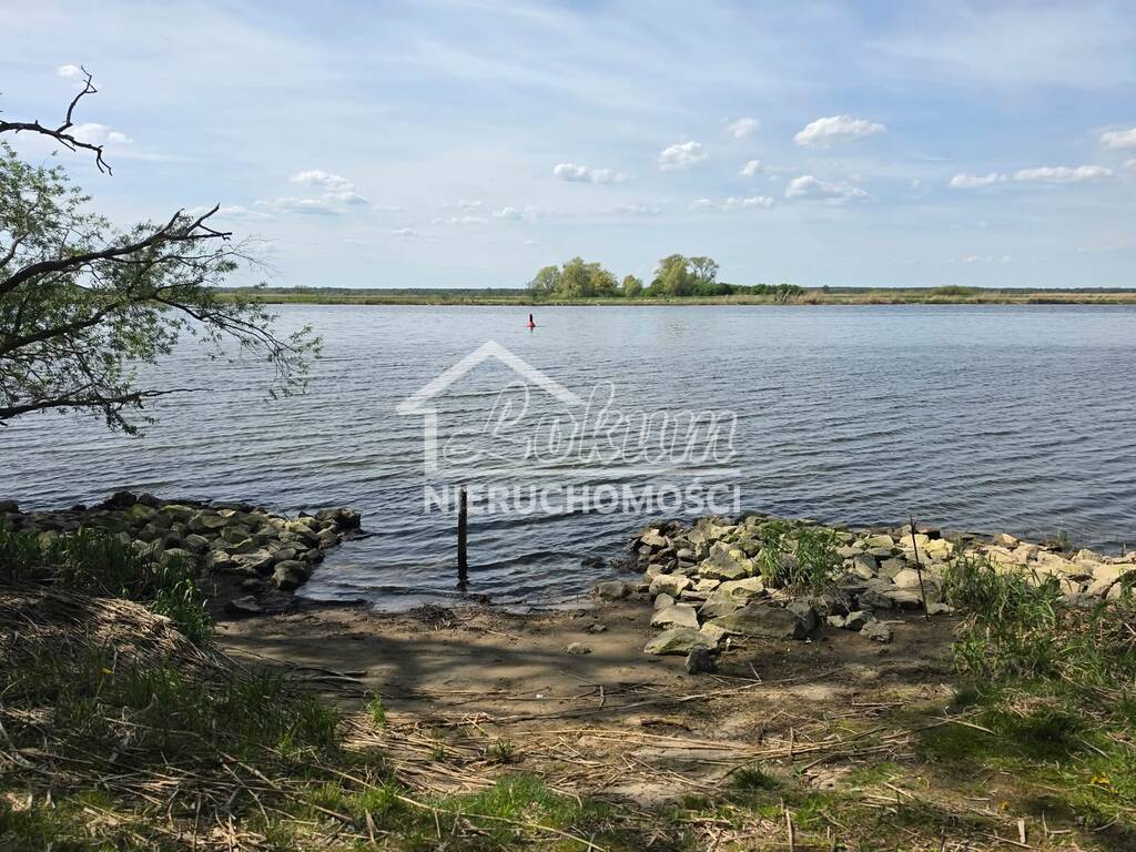 Działka budowlana 3000&nbsp;m², Widuchowa - zdjęcie 1