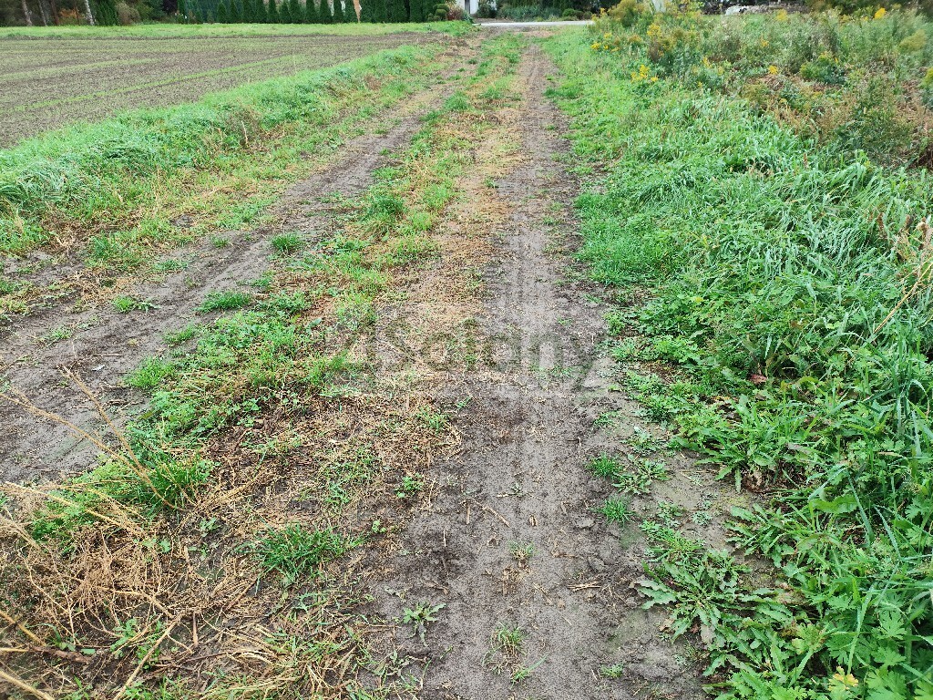 Działka budowlana 1073 m², Kampinos A - zdjęcie 3