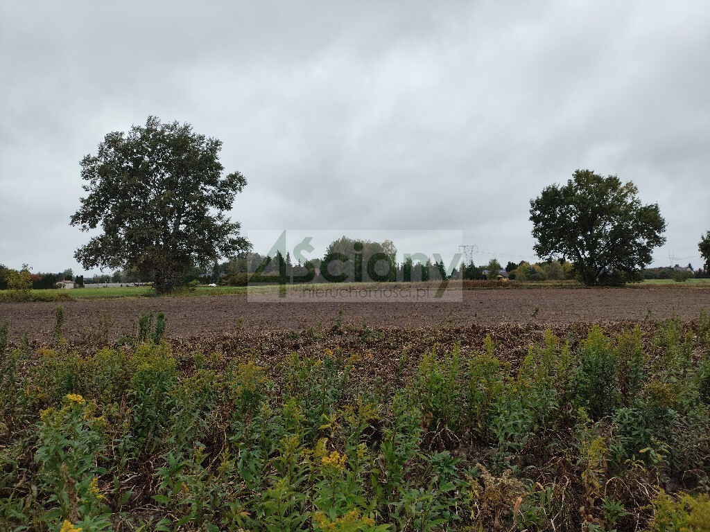 Działka budowlana 3327 m², Kampinos A - zdjęcie 1