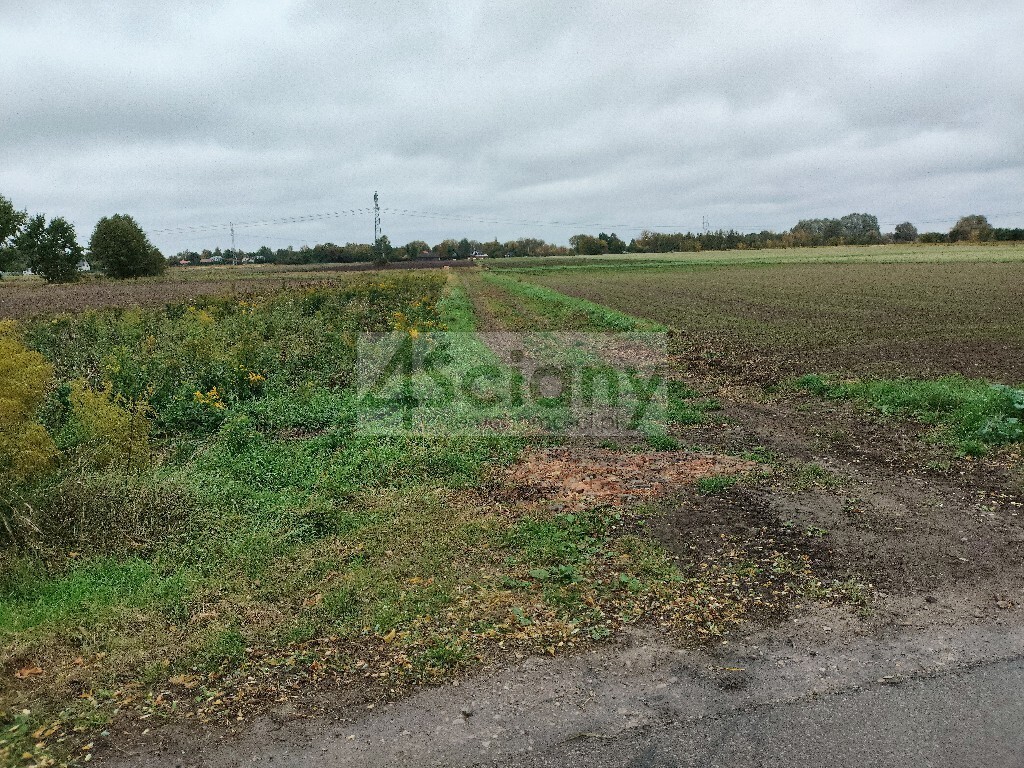 Działka budowlana 3327 m², Kampinos A - zdjęcie 2