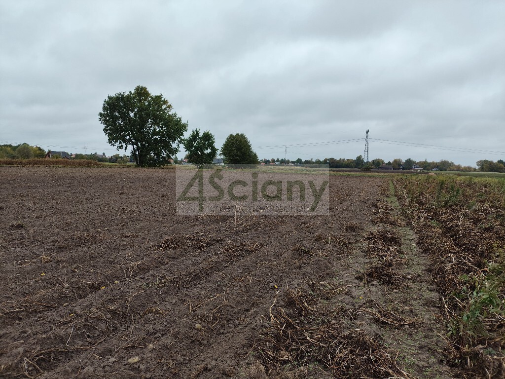 Działka budowlana 3327 m², Kampinos A - zdjęcie 3