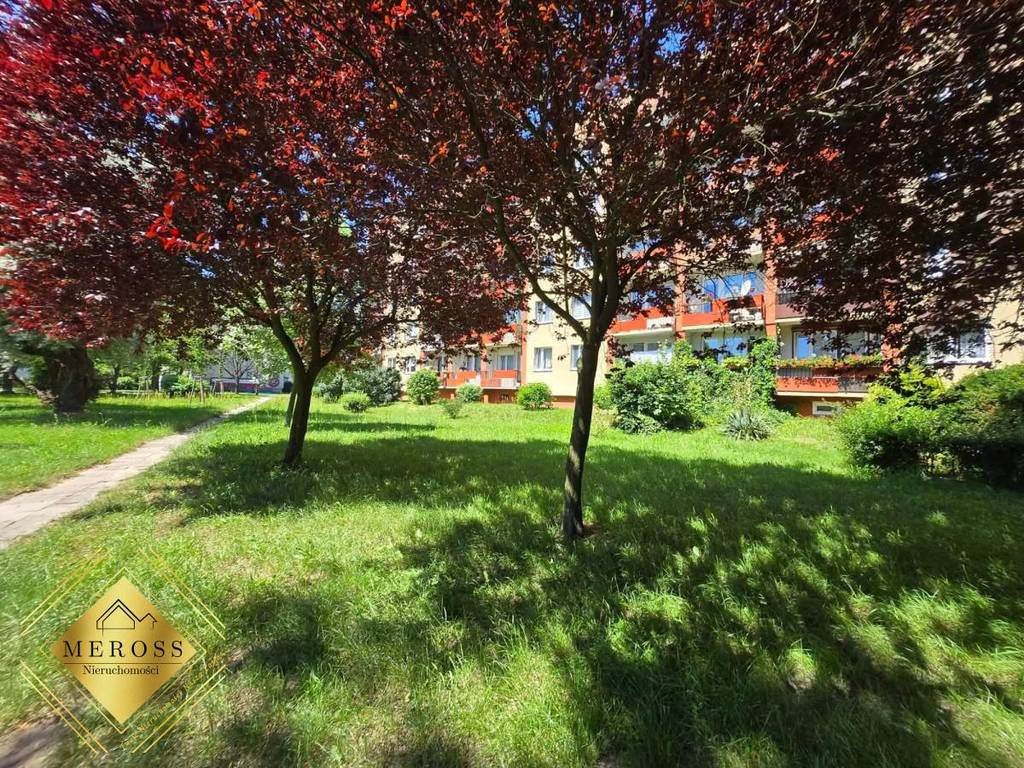 Mieszkanie 47,8&nbsp;m², Częstochowa, Sportowa - zdjęcie 4