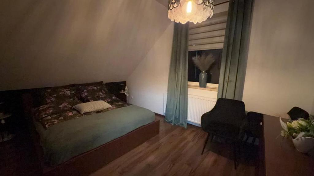 komfortowy , urządzony, piękny ogród - zdjęcie 11
