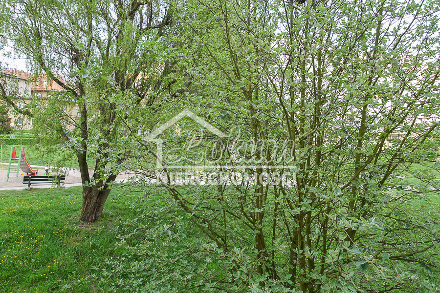 Mieszkanie 46&nbsp;m², Szczecin, Sosnowa - zdjęcie 18