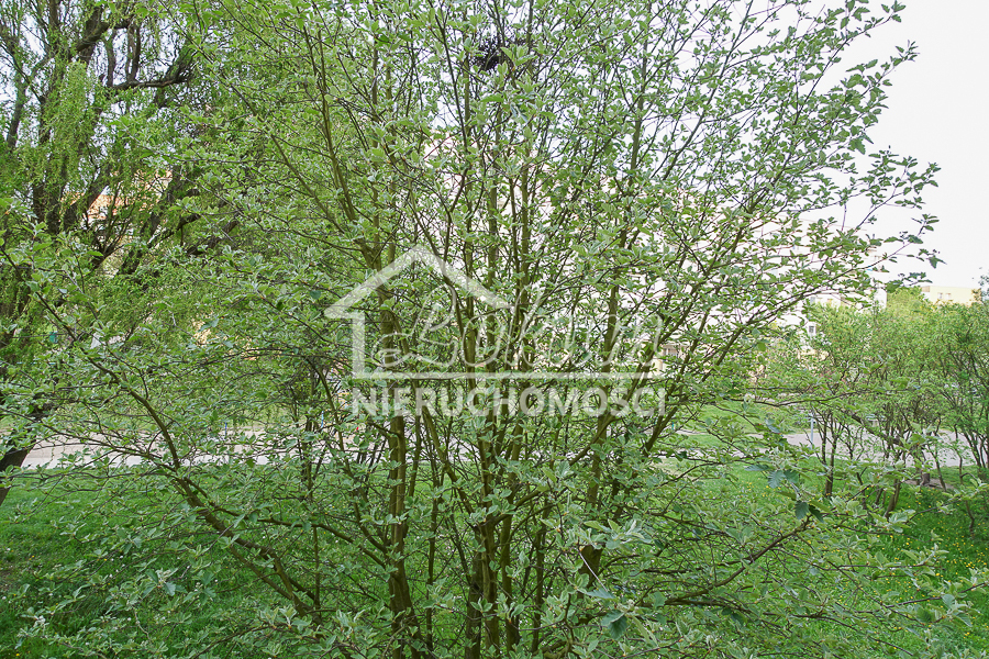 Mieszkanie 46&nbsp;m², Szczecin, Sosnowa - zdjęcie 17