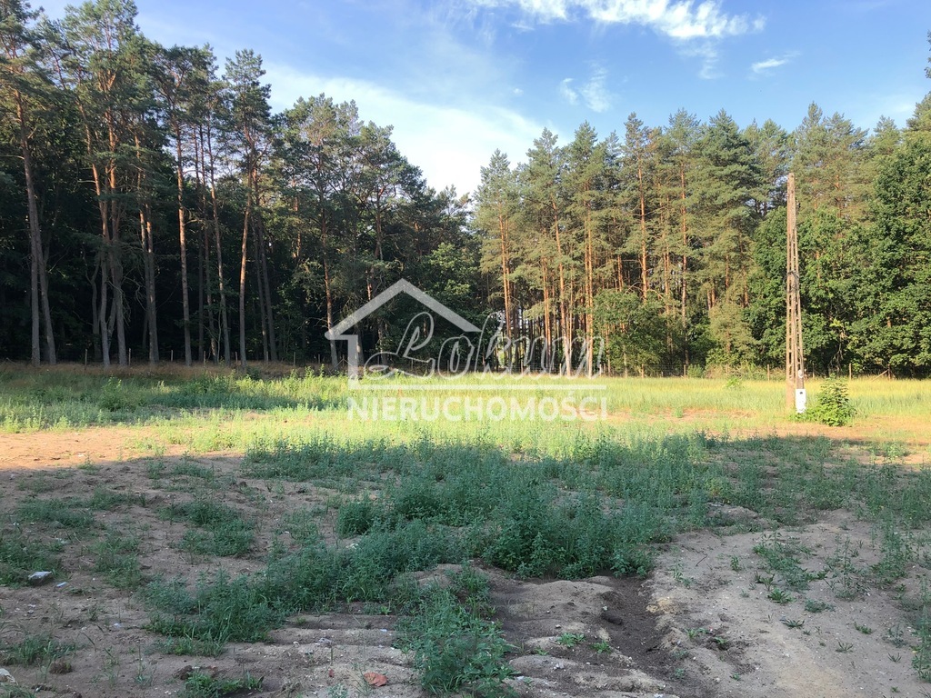 Działka rolna 1952&nbsp;m², Trzebież - zdjęcie 1
