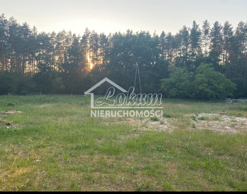 Działka rolna 1952&nbsp;m², Trzebież - zdjęcie 6